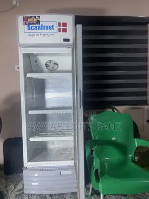 Scanfrost Refrigerator Fridge Chiller Refrigerator Fridge