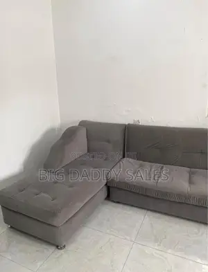 L-Shaped Couch Plus the Single Sofa