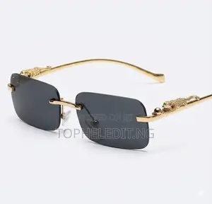 Luxury Rimless Dragon Sunglasses