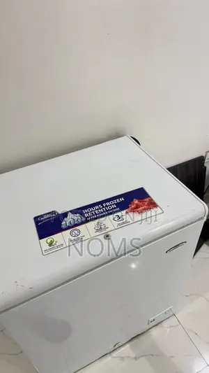 146L Thermocool Deep Freezer