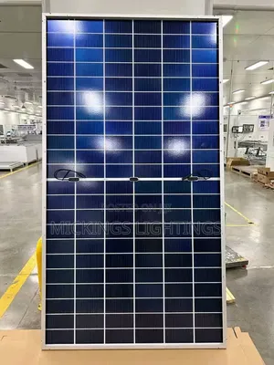 600 Watts Bi- Facial Solar Panel