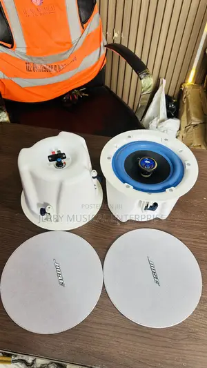Bose Ceiling Speakers With Bass