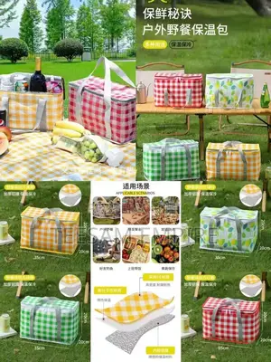 Lunch/ Picnic Bag