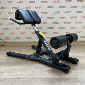 45-Degree Back Extension Bench