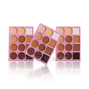 Motec Powder Pallete Combo 3in1