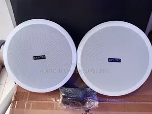 Sky Tec Bluetooth Speaker 2 1n 1