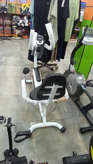 Recumbent Exercise Bike