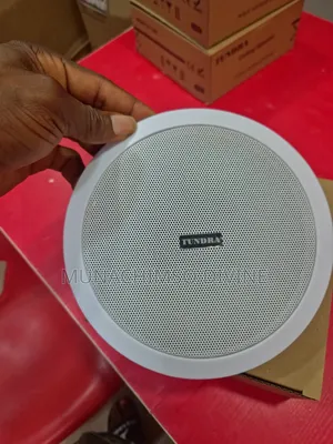 10watts Tundra Celling Speaker