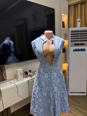 Embroidered Dress