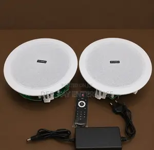 100watts Bluetooth Ceiling Speaker With Remote