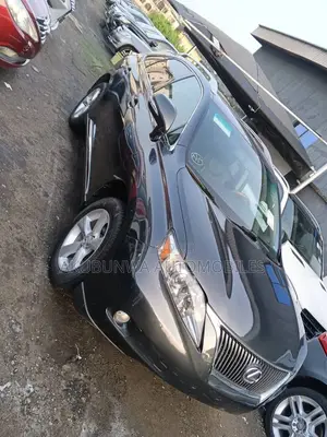 Lexus RX 2010 Gray
