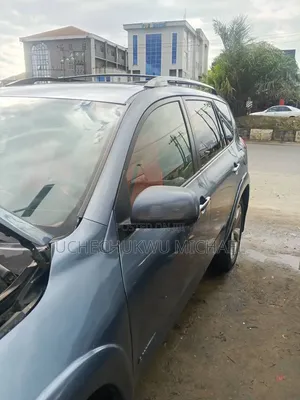 Toyota RAV4 2010 Blue