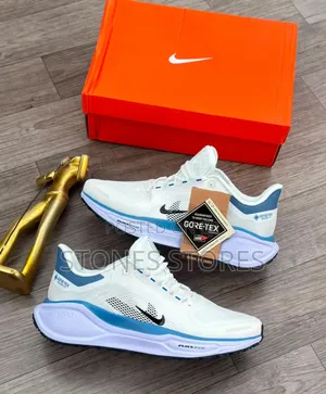 Nike Air Zoom Gore-Tex “React”