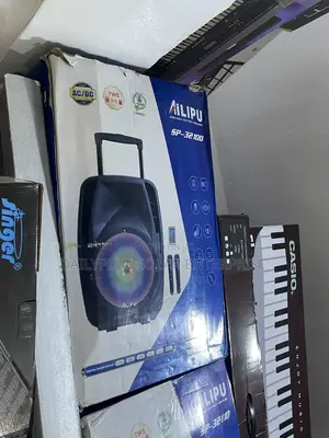 Ailipu 12inches Speaker With Double Wireless Microphone