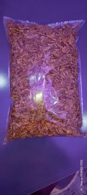 Oron Crayfish