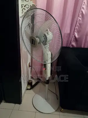 Electric Fan