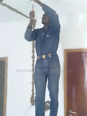 Professional Electrician