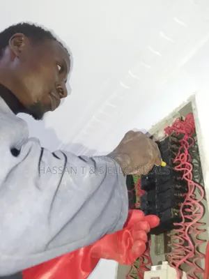 Professional Electrician