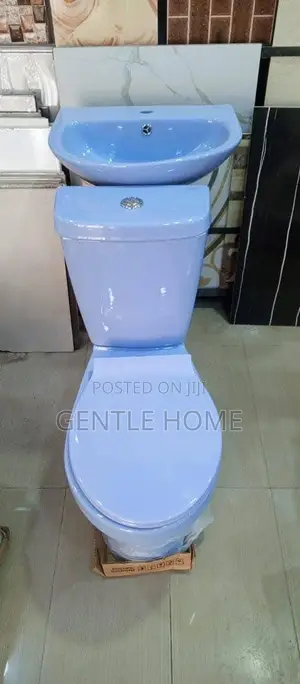 Blue Water Closet