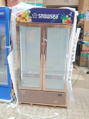 Chiller Double Door Refrigerator for Drinks