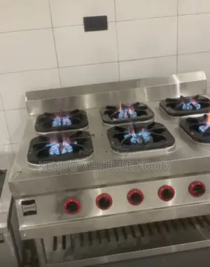 Industrial Gas Cooker