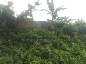 Very Suitable Land for Farming or Students Hostel. 2plots