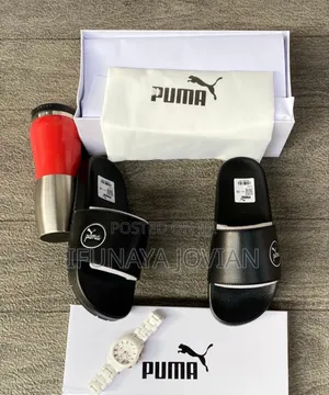 Dior Slippers