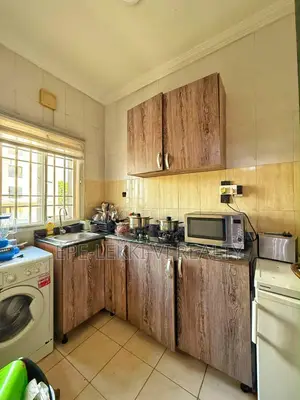 Furnished Mini Flat in Lekki Phase 1 for rent