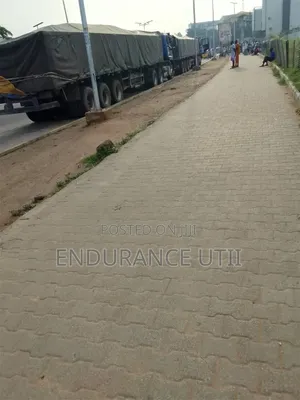 Best Sellers of Dangote and Bua Cement