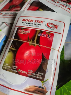 Rock F1 Tomato Seeds
