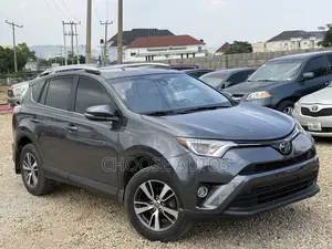 Toyota RAV4 XLE AWD (2.5L 4cyl 6A) 2016 Gray