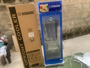 SNOWSEA LC-300W 258L Commercial Display Chiller With Glass Door for Sh