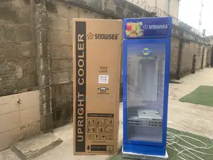 SNOWSEA LC-300W Beverage Display Fridge for Supermarkets, Cafés Stor