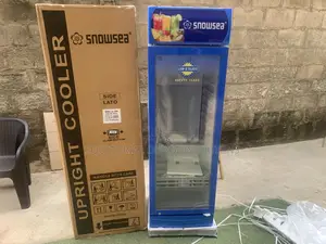 SNOWSEA LC-300W Single Door Display Chiller With LED Lighting