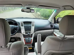 Lexus RX 2008 Gray