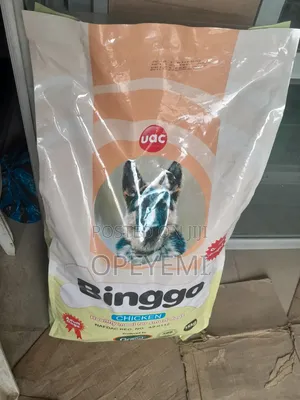 Dog Accessories
