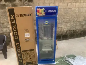 SNOWSEA LC-300W Retail Beverage Cooler With Stylish Glass Door