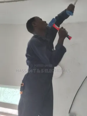 Professional Electrician
