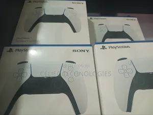 PS5 Controller (Pad)