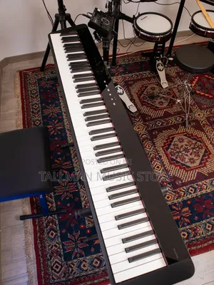 Casio Privia Px-1100