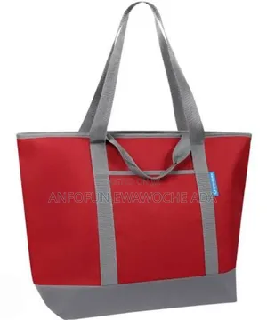 Sam's Club Dual Insulated Cooler Shopper Bag