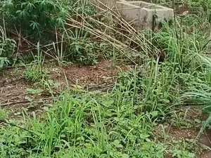 Hot Deal: 500sqm Prime Land in Amuba Housing Estate, Umuahia