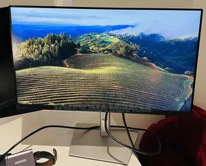 Dell 24- P2422H - IPS Monitor