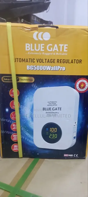 Blue Gate 5kva WALL MOUNTED Digital Stabilizer