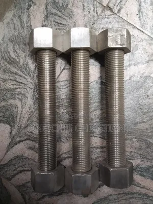 13/8x300 Stud Boit and Nut S/S