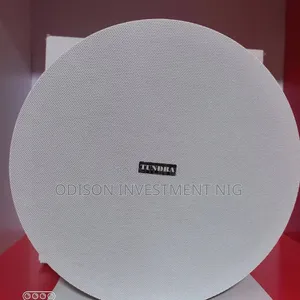 80w Tundra Bluetooth Ceiling Speaker