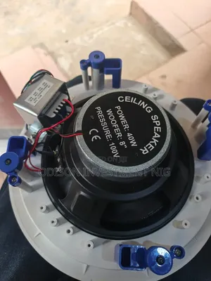 40w Dart Ceiling Speaker
