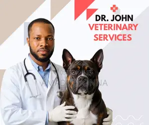 Licensed Vet Abia State- Dr.John Veterinary Services,24/7