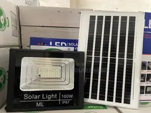 100w Flood Light