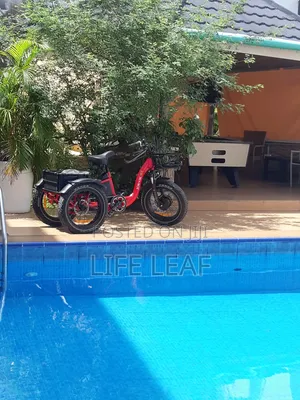 Electric Power Trike UK Standard